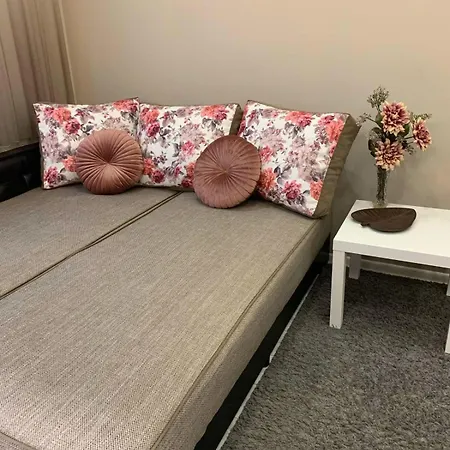 아파트 Harmony Centrally Located 소피아